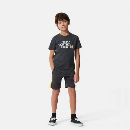 THE NORTH FACE Camiseta Niño Easy Asphalt Grey-Summit Gold Camo [0]