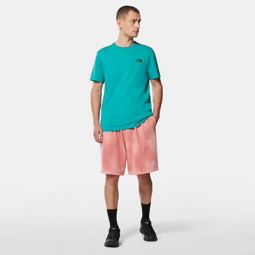 THE NORTH FACE Camiseta S/S Simple Dome Tee Porcelain Green TNF Black [2]