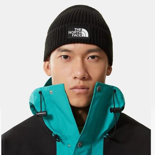 THE NORTH FACE Gorro TNF Logo Box Cuffed Beanie TNF Black [0]