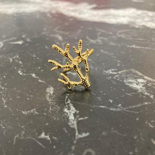Anillo Coral [0]