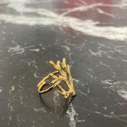 Anillo Coral [1]