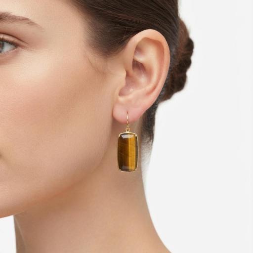 Pendientes Terra [1]