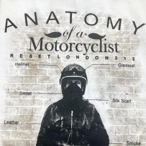 Camiseta Anatomy [1]