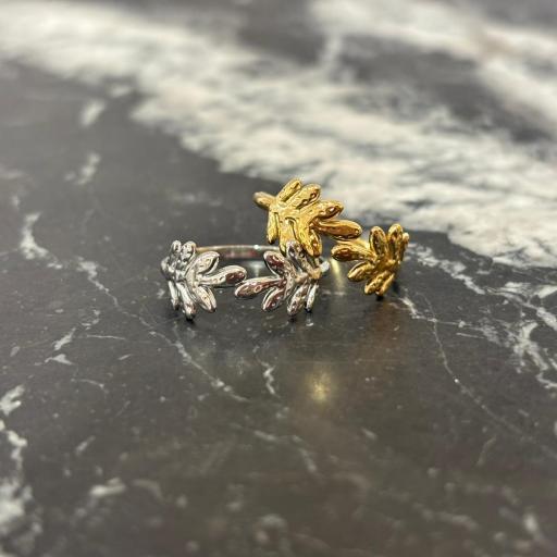 Anillo Laurel [1]