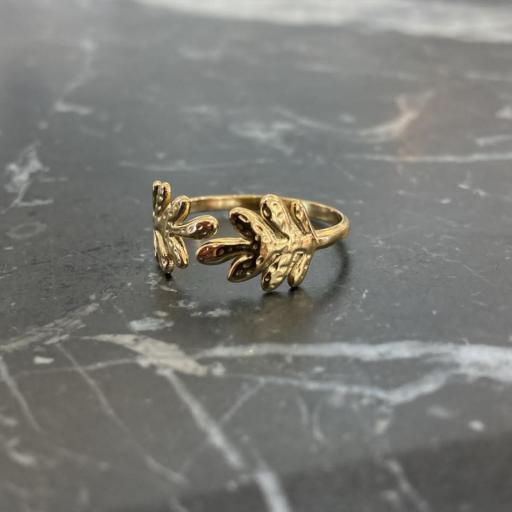 Anillo Laurel [3]