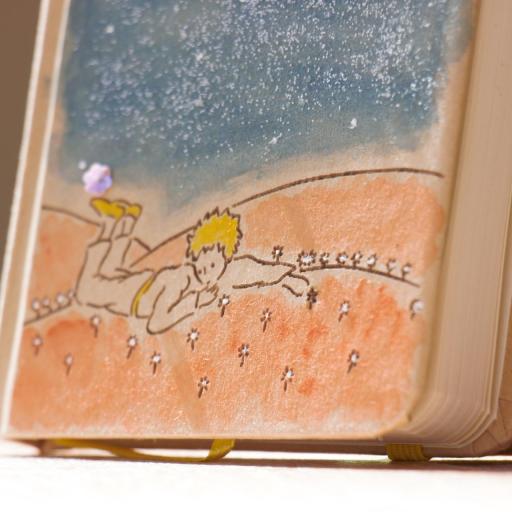 Gracias una y mil veces | Cuaderno [1]