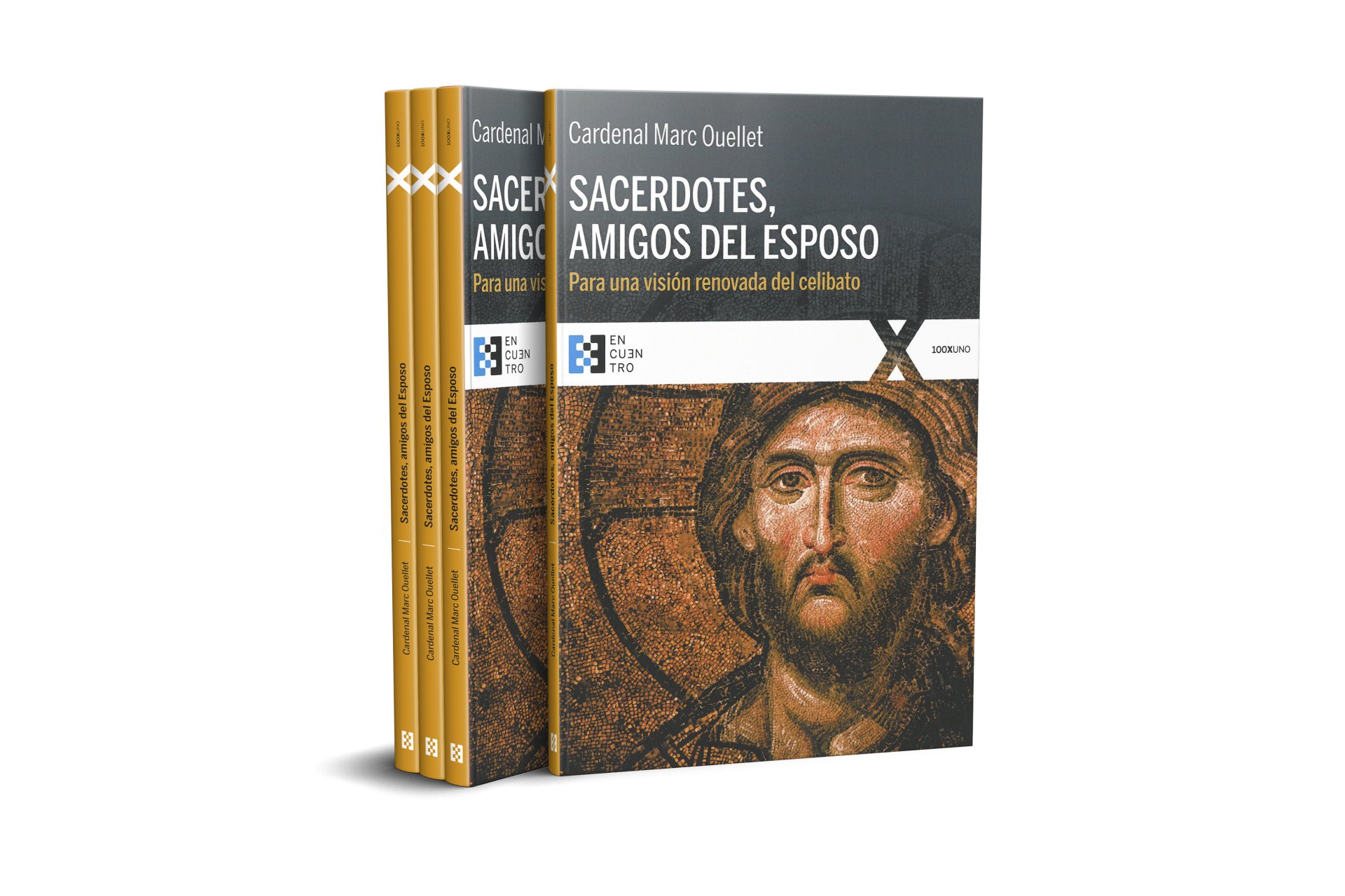 060-6x9-Book-Boxset-Small-Spine-Mockup-COVERVAULT + SACERDOTES.jpg