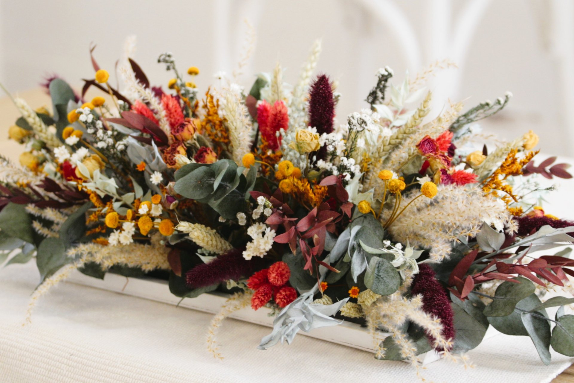 _MG_9029+barak silvestre+.JPG