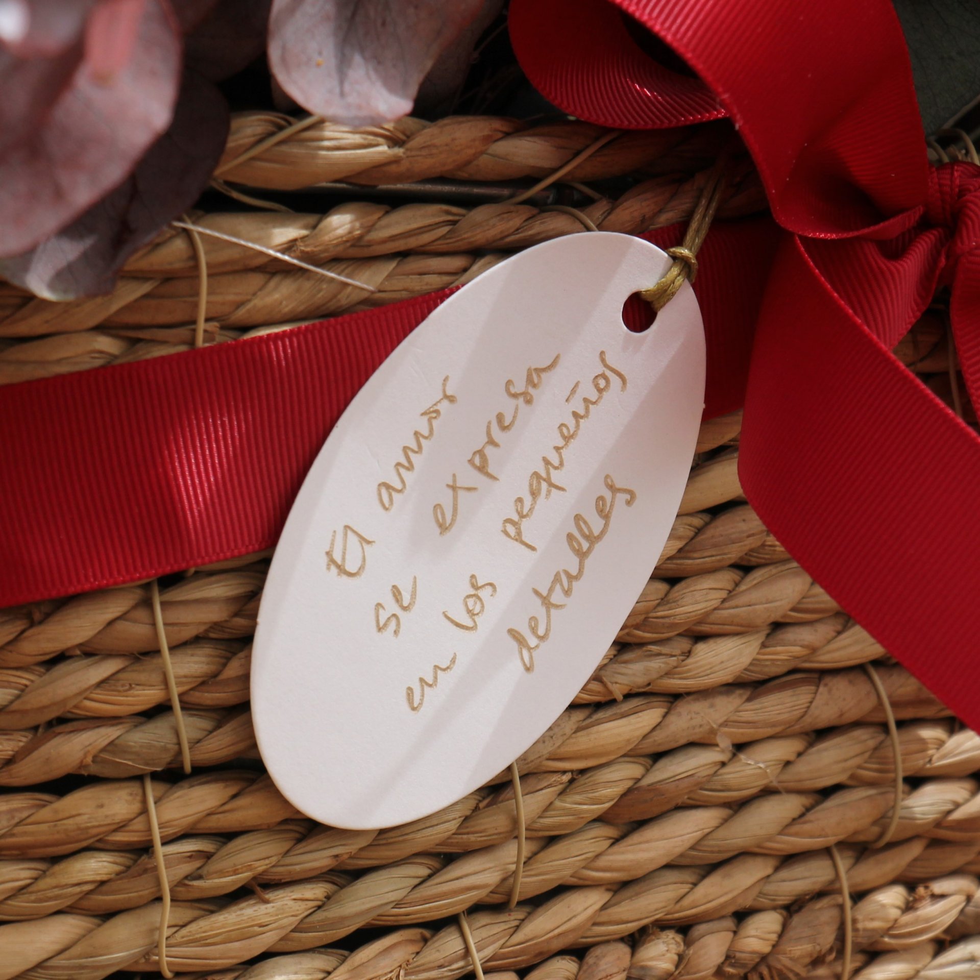 IMG_3959 1x1 olivia.JPG