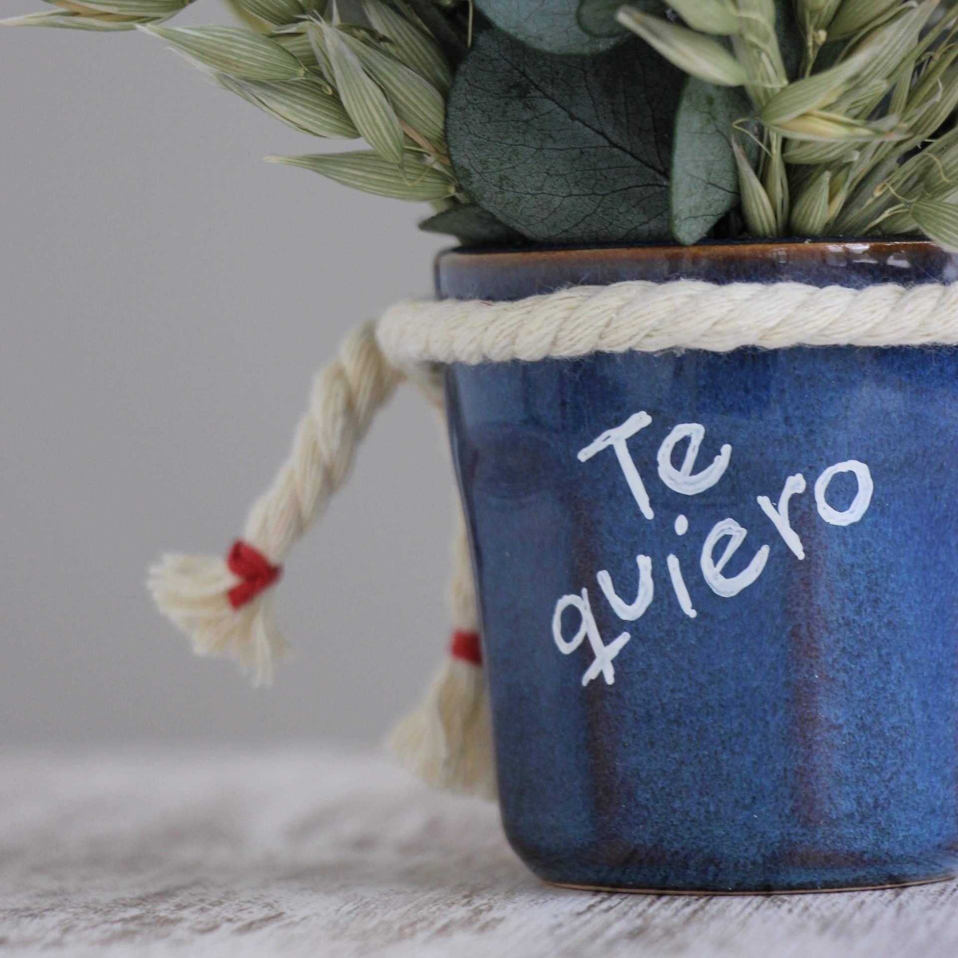 IMG_6842 1x1 Vasito FL141.JPG