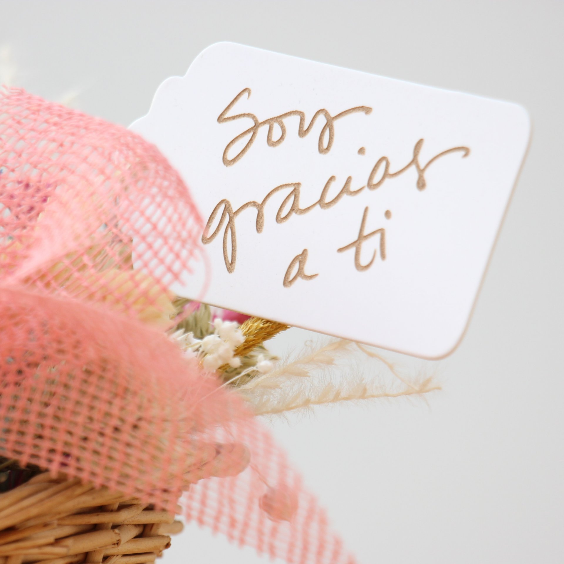 IMG_7546 1x1 Clotilde.JPG