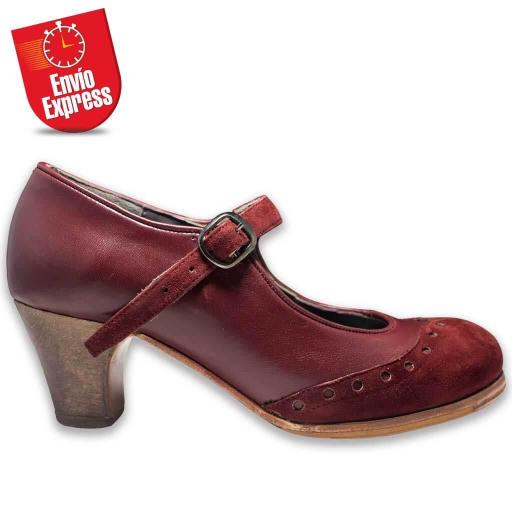 Flamenco Shoes 03 [1]