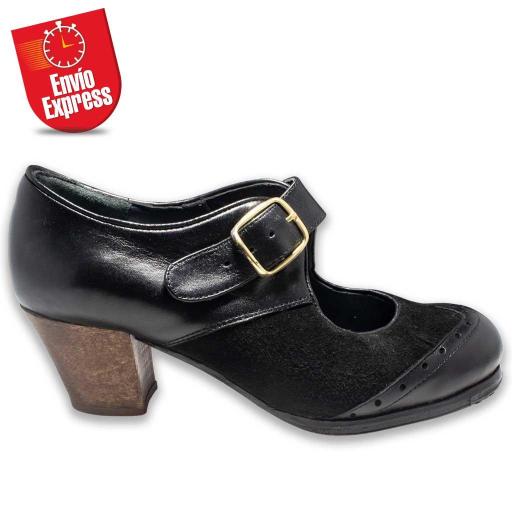 Flamenco Shoes 17 [1]