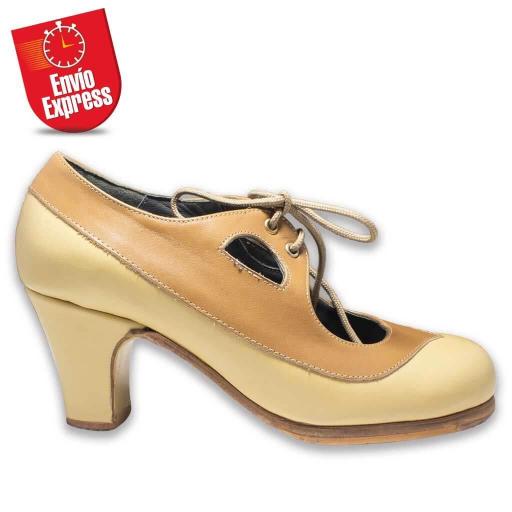 Flamenco Shoes 10 [1]