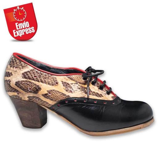 Flamenco Shoes 12 [1]