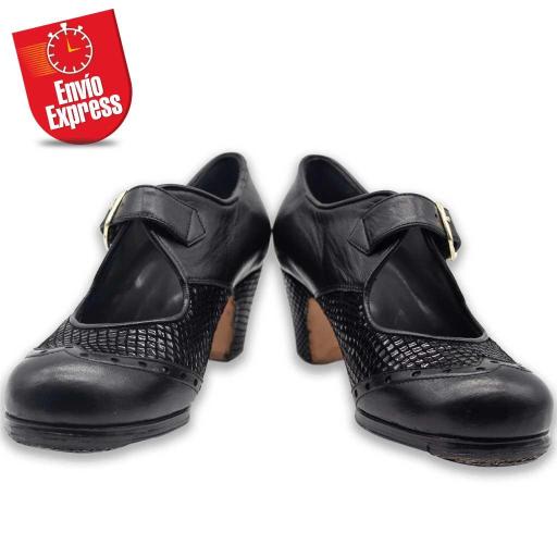 Flamenco Shoes 02-07