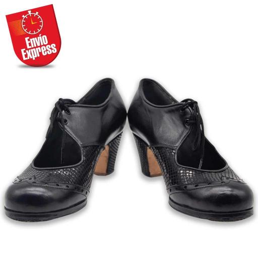 Flamenco Shoes 06 [0]