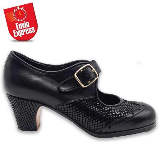 Flamenco Shoes 02-07 [1]