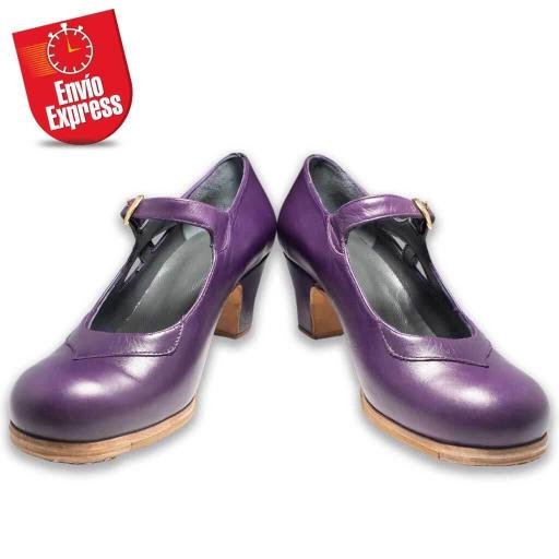 Flamenco Shoes 01