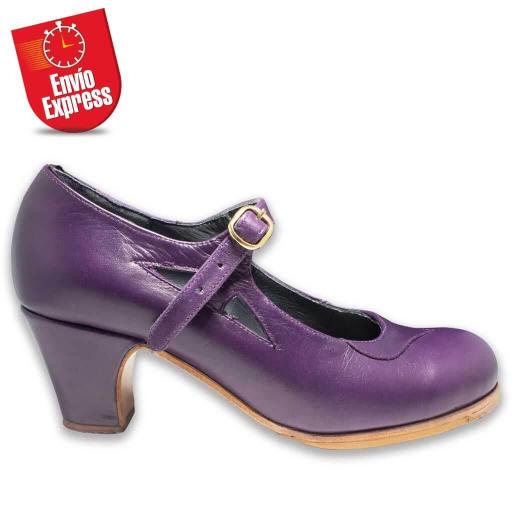 Flamenco Shoes 01 [1]