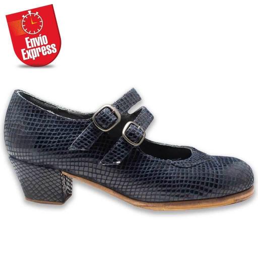 Flamenco Shoes 11 [1]