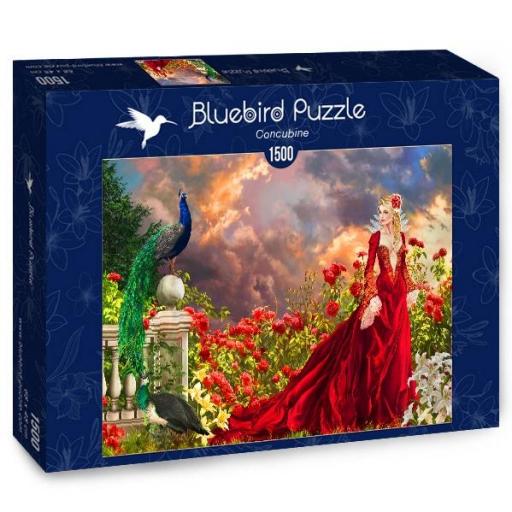 puzzle-de-fantasia-con-hadas-de-nene-thomas-bluebird-70275.jpg [1]