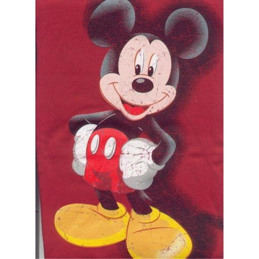 Pijama de Niño Massana Disney Modelo "Mickey Mouse" [1]