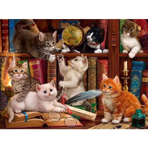 Puzzle de Gatos 1000 Piezas SunsOut 42962 GATITOS DE BIBLIOTECA