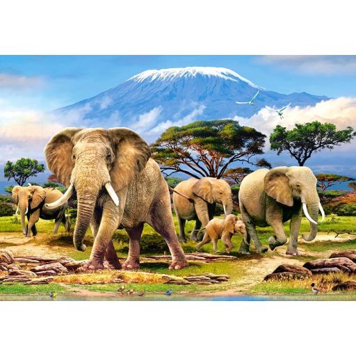 Puzzle 1000 Piezas Castorland 103188 MANADA DE ELEFANTES EN EL KILIMANJARO  [0]