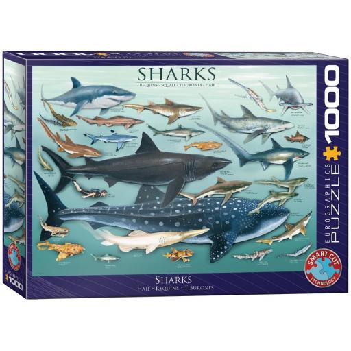 Puzzle Educativo Fauna Marina 1000 Piezas EuroGraphics 6000-0079 TIBURONES [1]