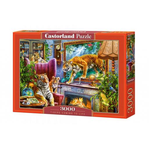 puzzle-castorland-300556-3000-piezas.jpg [1]