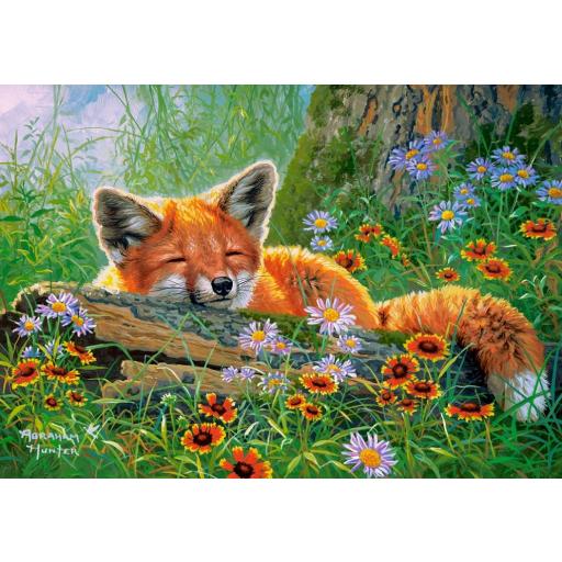 Puzzle de Animales 500 Piezas Castorland 53872 SUEÑOS ASTUTOS [0]