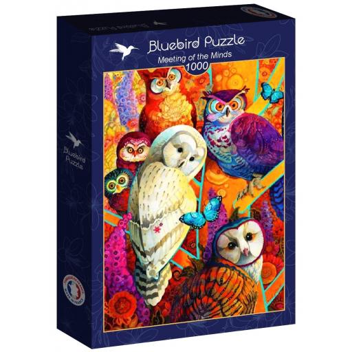 Puzzle Colorido de Arte Moderno 1000 Piezas Bluebird 90231 REUNION DE BUHOS  [1]