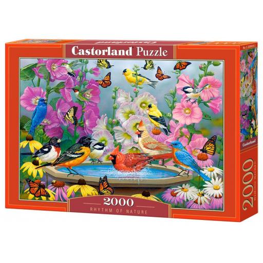 Puzzle 2000 Piezas Castorland 200818 EL RITMO DE LA NATURALEZA [1]