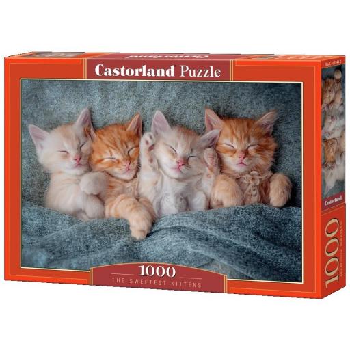 Puzzle 1000 Piezas Castorland 105144 LOS GATITOS MAS DULCES [1]