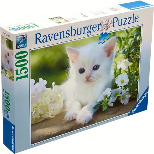 Puzzle de Gatos 1500 Piezas Ravensburger 16243 GATITO BLANCO [1]