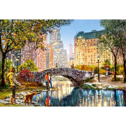 Puzzle de Nueva York 1000 Piezas Castorland 104376 PASEO POR LA NOCHE POR CENTRAL PARK DE NUEVA YORK