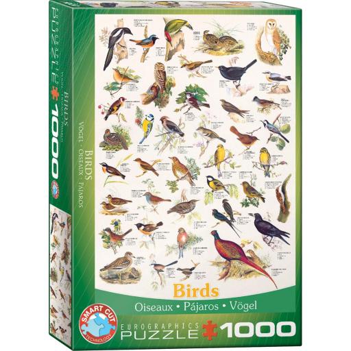 Puzzle Educativo de Animales y Aves 1000 Piezas EuroGraphics 6000-1259 PAJAROS [1]