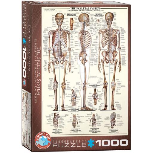 Puzzle Educativo Cuerpo Humano 1000 Piezas EuroGraphics 6000-3970 EL SISTEMA OSEO [1]