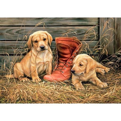 Puzzle Perros y Perritos 1000 Piezas EuroGraphics 6000-0795 ALGO NUEVO , ALGO USADO