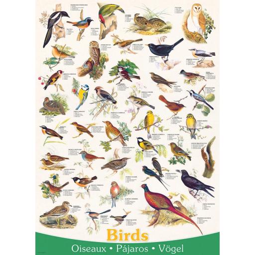 Puzzle Educativo de Animales y Aves 1000 Piezas EuroGraphics 6000-1259 PAJAROS [0]