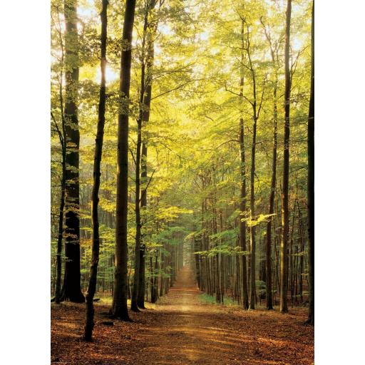 Puzzle de Paisajes , Bosques y Montañas 1000 Piezas EuroGraphics 6000-3846 CAMINO EN EL BOSQUE