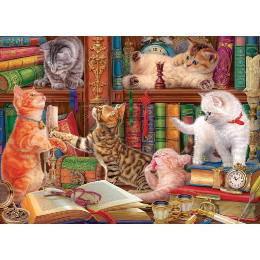 Puzzle de Gatos y Gatitos 1000 Piezas EuroGraphics 6000-5913 GATITOS DE BIBLIOTECA