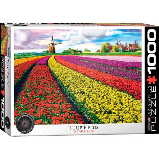 Puzzle 1000 Piezas Eurographics 6000-5326 CAMPO DE TULIPANES , HOLANDA [1]