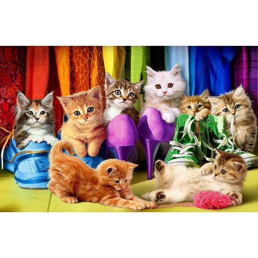 Puzzle LGTB 1000 Piezas EuroGraphics 6000-5543 CALZADO PARA GATITOS ( Orgullo Gatuno )