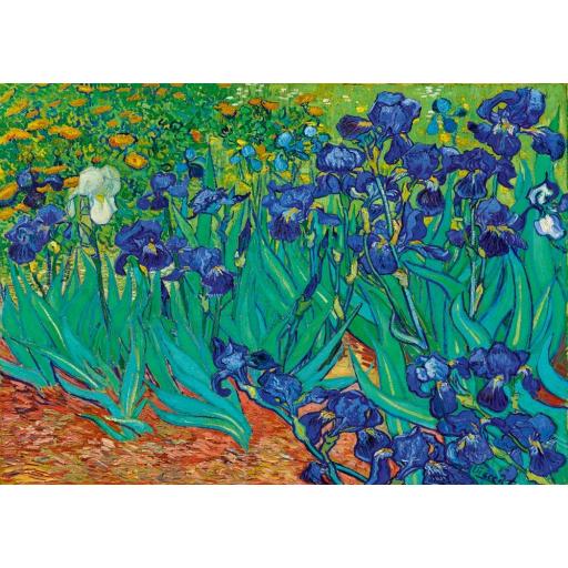 Puzzle del Cuadro LOS LIRIOS de Van Gogh 1000 Piezas Bluebird 60006