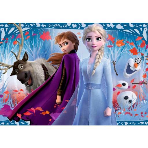 Puzzle Infantil Disney FROZEN II 2 x 12 Piezas Ravensburger 05009 Viaje a lo desconocido [1]