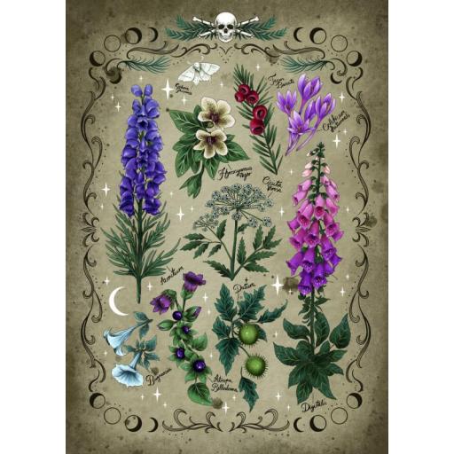 Puzzle 1000 Piezas Ravensburger 12000781 PLANTAS TOXICAS [0]