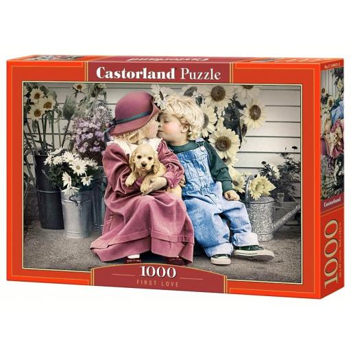 Puzzle Romantico 1000 Piezas Castorland 104451 EL PRIMER AMOR [1]