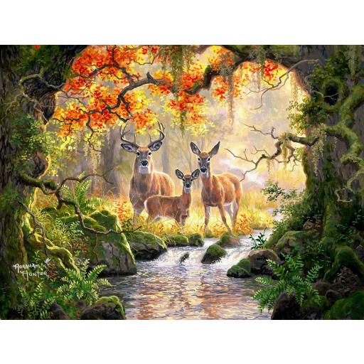 Puzzle Senior de Animales 300 Piezas Grandes SunsOut 69692 FAMILIA REAL DE CIERVOS